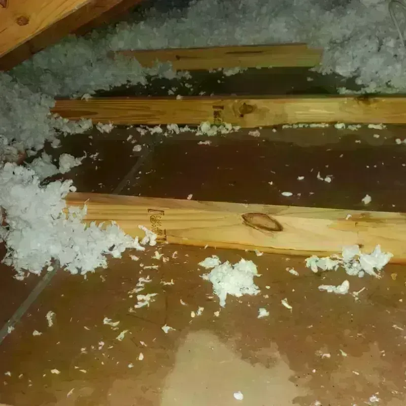 Attic Water Damage in Shamrock, TX