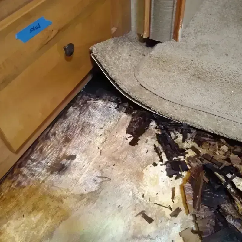 Wood Floor Water Damage in Shamrock, TX